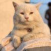 nabila.queen3