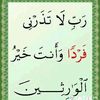 user7079754703007