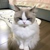 lily_9d_8990