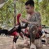 KimLong