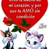 chiflooir8o