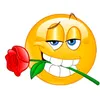 bnphimhd