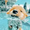 sophandlibss_22