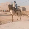 user8634140949458