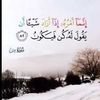 user6250457838022