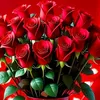 mirza.faisalmehmood