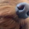 .caitsprivv
