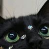 baemon.o.o