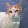 _kittyymeow_