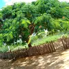 allaninha0076