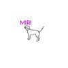 those.4_working.muttz
