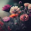 exitrehmdj5