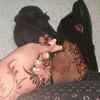 faraxsan.ina.abdi