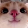 lai_kalipso