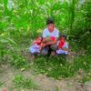 anish.bhi98096