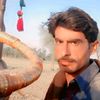 tofeeque..ali..balouch
