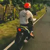 d4ndexx