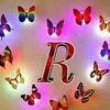 user4291877378065