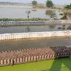 thanhthom2001