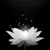 minhthichchanaa