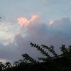 ymi_0509