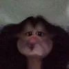 tramycte3