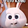 wulan.ya5