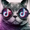 user7404755609978