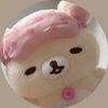 chincilla017