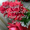 alialshekh6