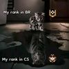 badhanter4