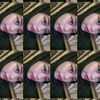 diaww.pretty
