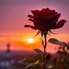 _.korisnikuser5591._
