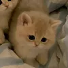 nhyyyeozh