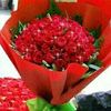 user5005230260761