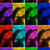 sy4zahra18