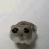 eemellliiii.1