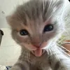 _emnhoanh_nhieulam