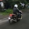 sattrp