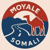 ali.mohamed.muse5