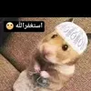 qasse0_0