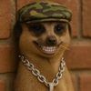 pablomonie224