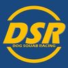 dog.squab.racing