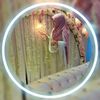 areehjahid