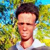 shirif040