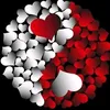 aissgo3li.oliaiss