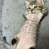 spikedsodaslurper