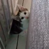mil..lion