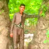 rawaz.farhan