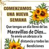 rosaliof.v